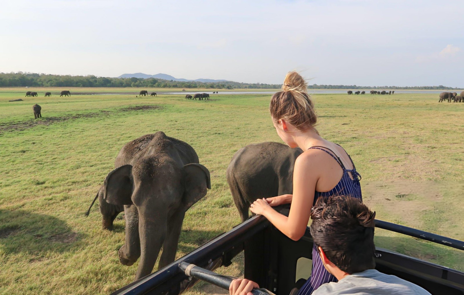 Full Day Safari