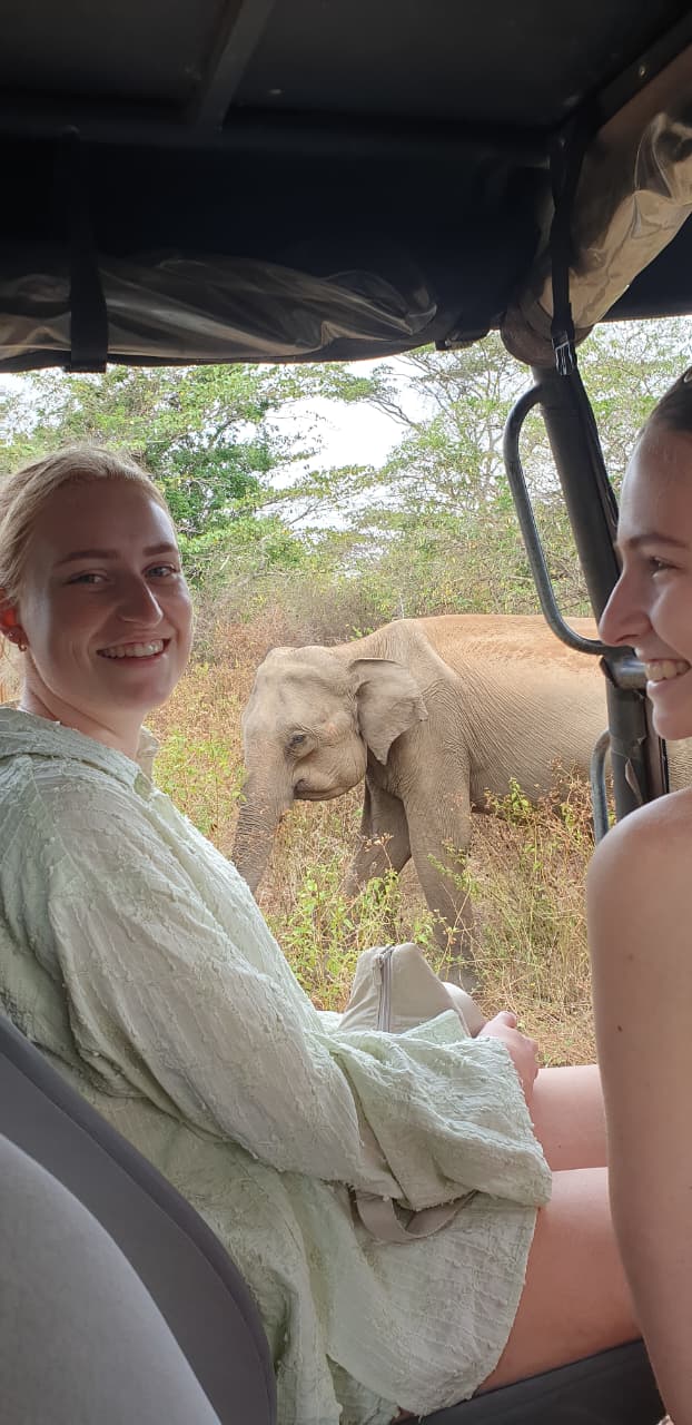 Two guests beside a grazing elephant
