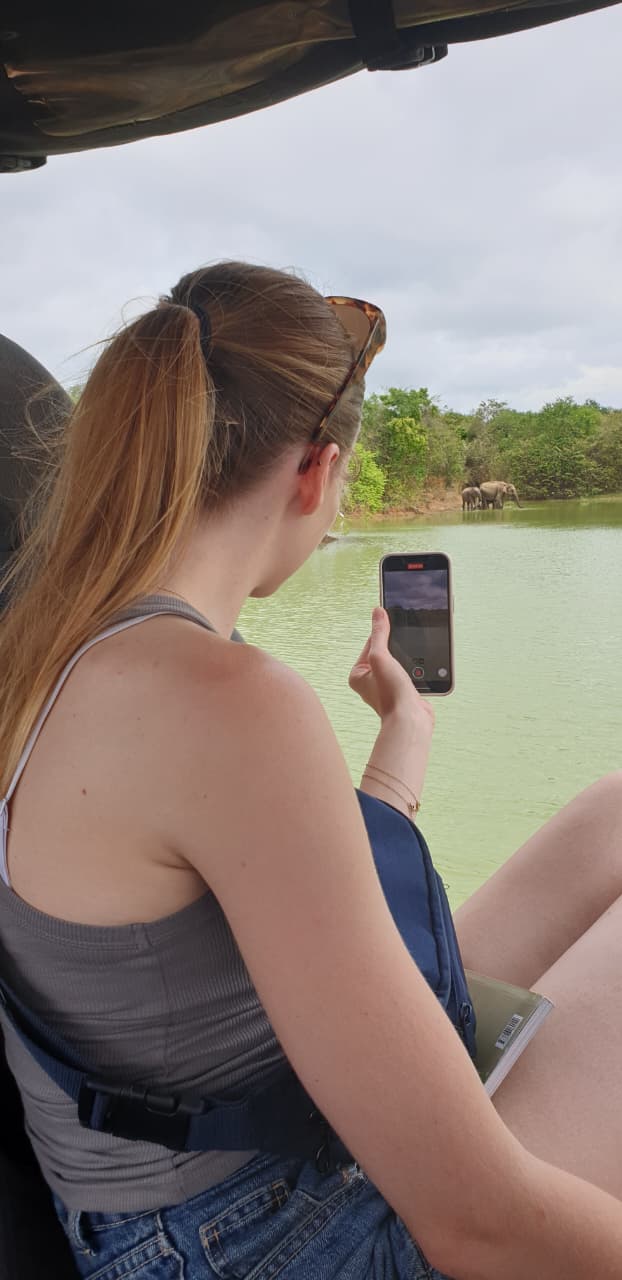 Guest photographing elephants across the water