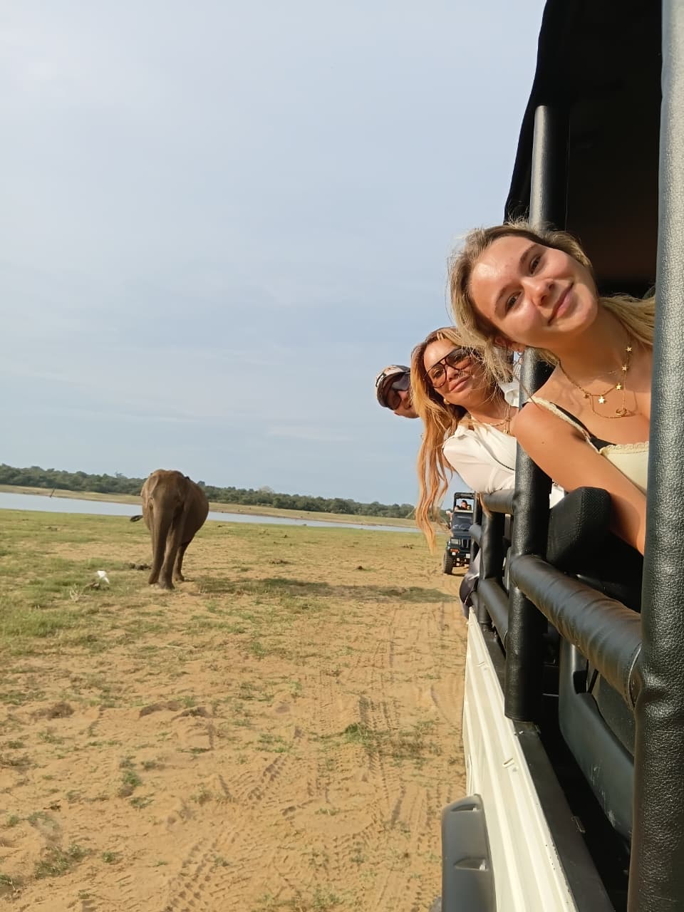 Three guests leaning out as an elephant grazes
